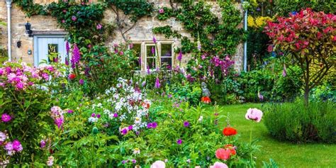 grow  cottage garden