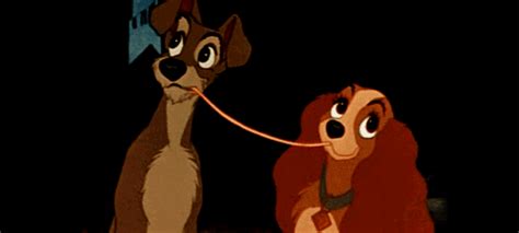 lady and the tramp s find and share on giphy