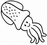 Calamar Calamares sketch template