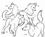 Wolf Coloring Pages Pack Printable Wolves Anime Kids Drawing Print Realistic Howling Team Family Winged Color Cute Sprite Wings Baby sketch template
