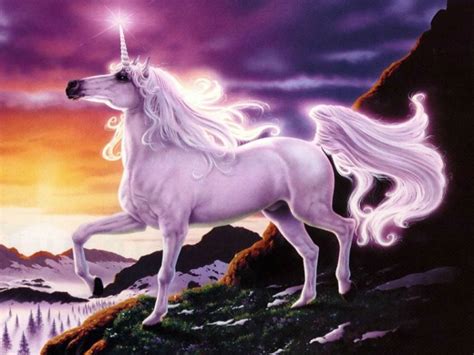 unicorn horse magical animal  wallpaper   wallpaperup