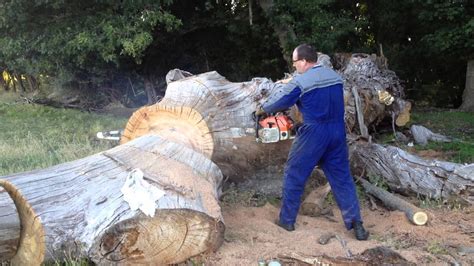 Biggest Stihl Chainsaw Cutting Firewood Youtube