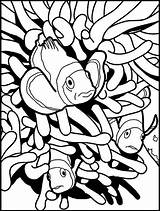 Coloring Fish Pages Clown Clownfish Anemon Hiding Between Preschool Fun Coloringpagesfortoddlers Popular Most Colouring Kids sketch template