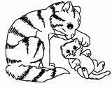 Kitten Scribblefun sketch template