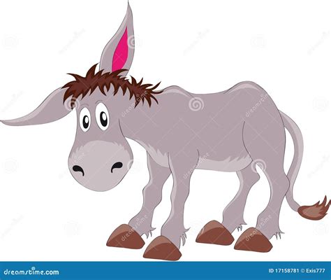 donkey stock vector illustration  mammal donkey white