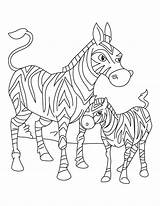 Zebra Coloring Baby Pages Foal Animal Printable Mom Mother Cute Clipart Kids Color Drawing Its Getcolorings Standing Born Just Print sketch template