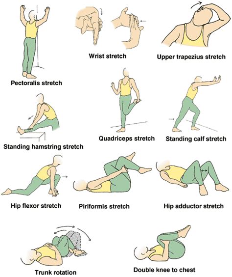 exercises  seniors stretching exercises  seniors