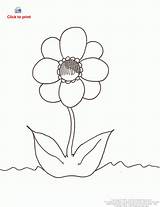 Flower Coloring Template sketch template