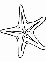 Starfish Getcolorings sketch template