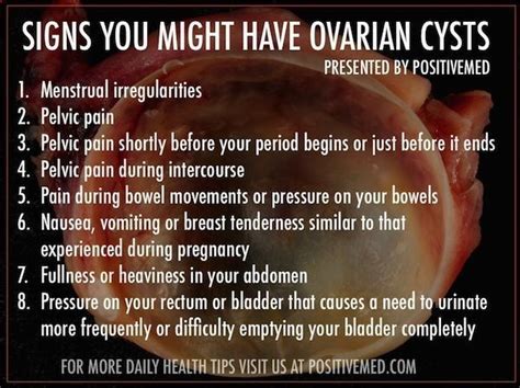 ovarian cysts symptoms positivemed positive vibrations  health