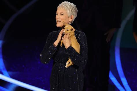 Jamie Lee Curtis Explains The Symbolism Behind Her 2022 Oscars Gown