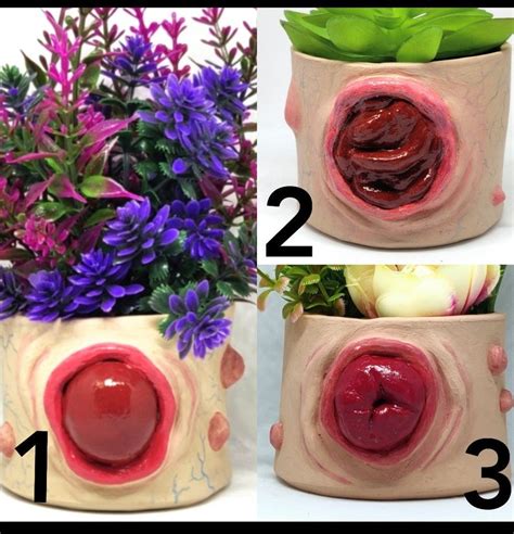 Anal Prolapse Pot Custom Cute Quirky Small Plant Pot An Etsy