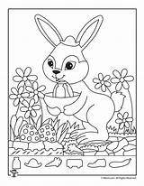 Easter Hidden Pages Printable Activity Kids Worksheets Activities Bunny Coloring Woojr Objects Teens Easy sketch template