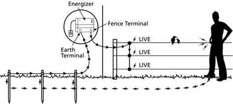 building  electric fence   power      fence energizer electric fence
