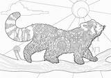 Panda Red Coloring Printable sketch template