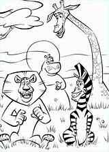 Madagascar Colorear Savanna Savane Madagaskar Desenho Tutti Colorat Stampare Zum Kolorowanki Escape Websincloud Planse Dzieci Tramonto Kolorowanka Ausmalen Malbuch Desene sketch template