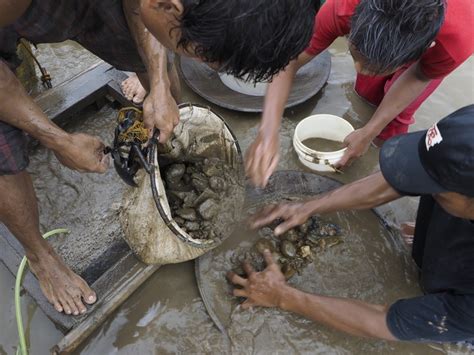 one filipino town s risky search for gold pbs newshour