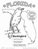 Coloring Pages State Mississippi Getcolorings Mockingbird sketch template