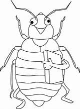 Coloring Beetle Holding Pages Book sketch template