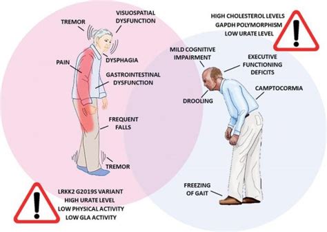 how and why does parkinson s disease affect women and men differently journal of parkinson s