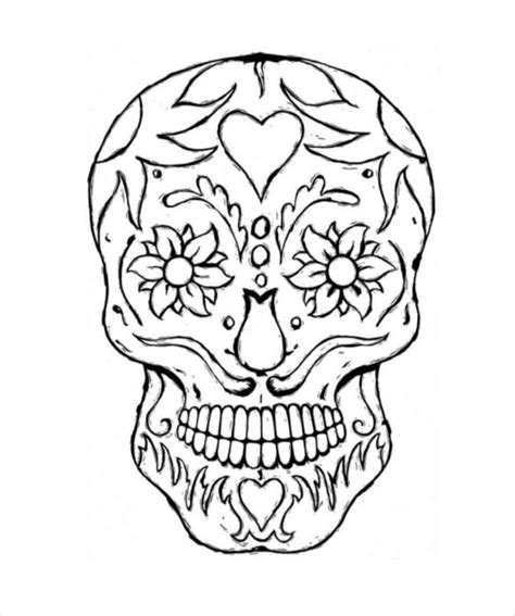 skull drawing template    documents