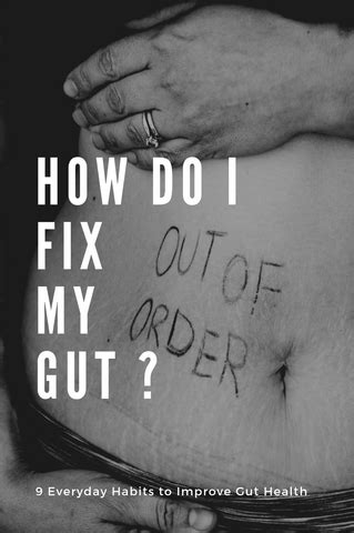 fix  gut  everyday habits  improve gut health olive