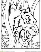 Coloring Tiger Pages Clemson Tigers Growling Animal Cub Animals Color Angry Wild Kids Colouring Printable Sheets Teeth Painting Worksheet Drawings sketch template