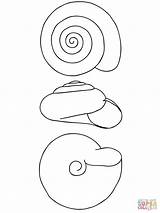 Snail Lumaca Caracol Concha Schnecken Guscio Incantevole Lumache Supercoloring Mehr sketch template
