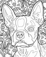 Coloring Dog Pages Book Breed Books Dogs Cleverpedia Color Breeds Beautiful Adult Adults Puppy Sheets Doodle Print Wild Getdrawings Printable sketch template