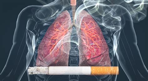 effects of smoking on the lungs 3d scene mozaik digital education