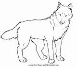 Wolf Coloring Pages Lineart Deviantart Red Realistic Kumi Color Adult Drawing Base Animal Cartoon Kids Mandala Popular Family Moon sketch template