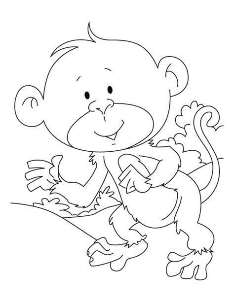 baby ape coloring pages   baby ape coloring pages