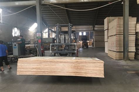 company overview feixian junyang wood industry