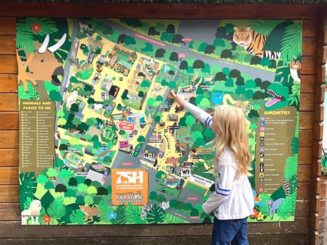 review  paradise wildlife park  hertfordshire counting  ten