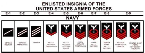 U S Navy Enlisted Rank Structure Hubpages