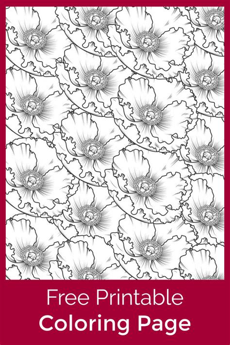 printable poppy coloring page mama likes
