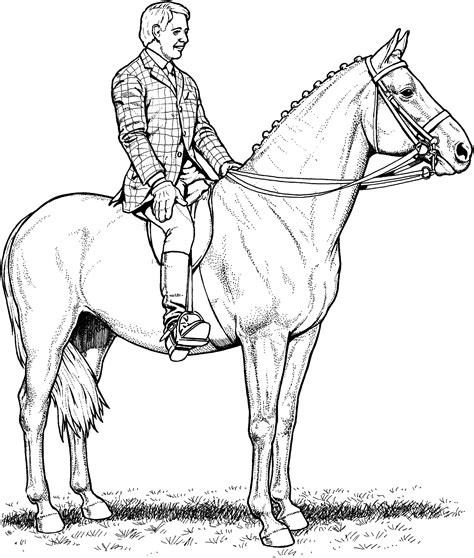 horse coloring pages  adults  coloring pages  kids adults