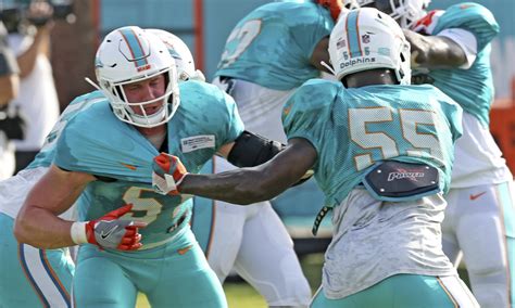 dolphins football  grueling truth