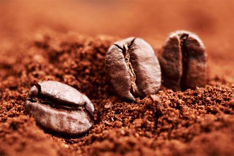 cafe moulu ou en grain les  differences majeures