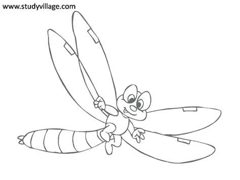 printable insect coloring pages  getcoloringscom