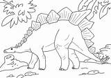 Stegosaurus Fascinating Coloringfolder sketch template