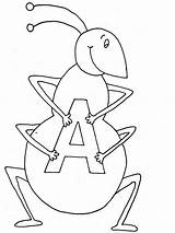 Letter Ant Coloring Holding sketch template