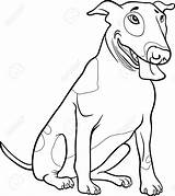 Bull Terrier Coloring Vector Dog Book 1300px 98kb 1154 Drawings Vectorstock Similar sketch template