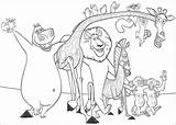 Madagascar Coloring Pages Characters Print Lion Alex Printable Popular Color Coloringhome Cartoon sketch template