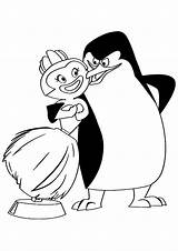 Madagascar Coloring Pages Penguin Penguins Skipper Hula Doll Printable Head Bobble Madagasca Colouring Color Print Movie Cute Cartoon Books sketch template