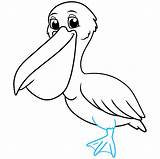 Pelican Easydrawingguides sketch template