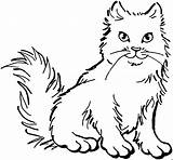 Katze Tiere Tiervorlagen Malvorlagen Herunterladen Malvorlage sketch template