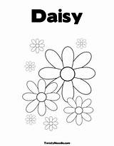 Coloring Daisy Pages Twisty Noodle Printable Writing Getcolorings Hand Print Color Flower sketch template