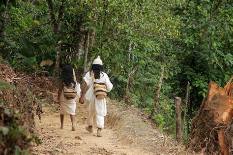 hiking past indigenous tribes to reach colombia s lost city indie