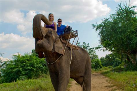 riding elephants  thailand south east asia travel